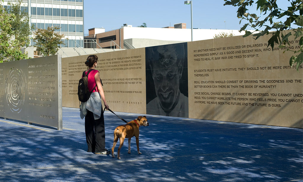 Robert F. Kennedy Community Schools and Inspiration Park